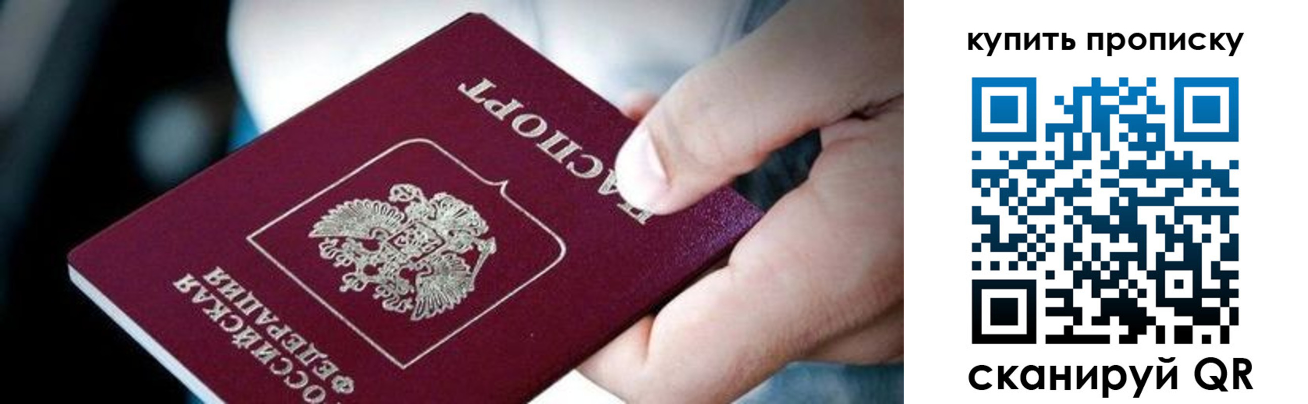 прописка поиск в Раменском